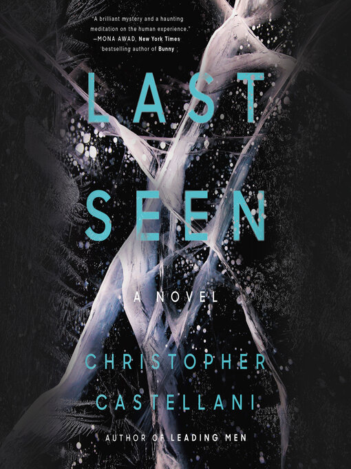 Cover image for Last Seen